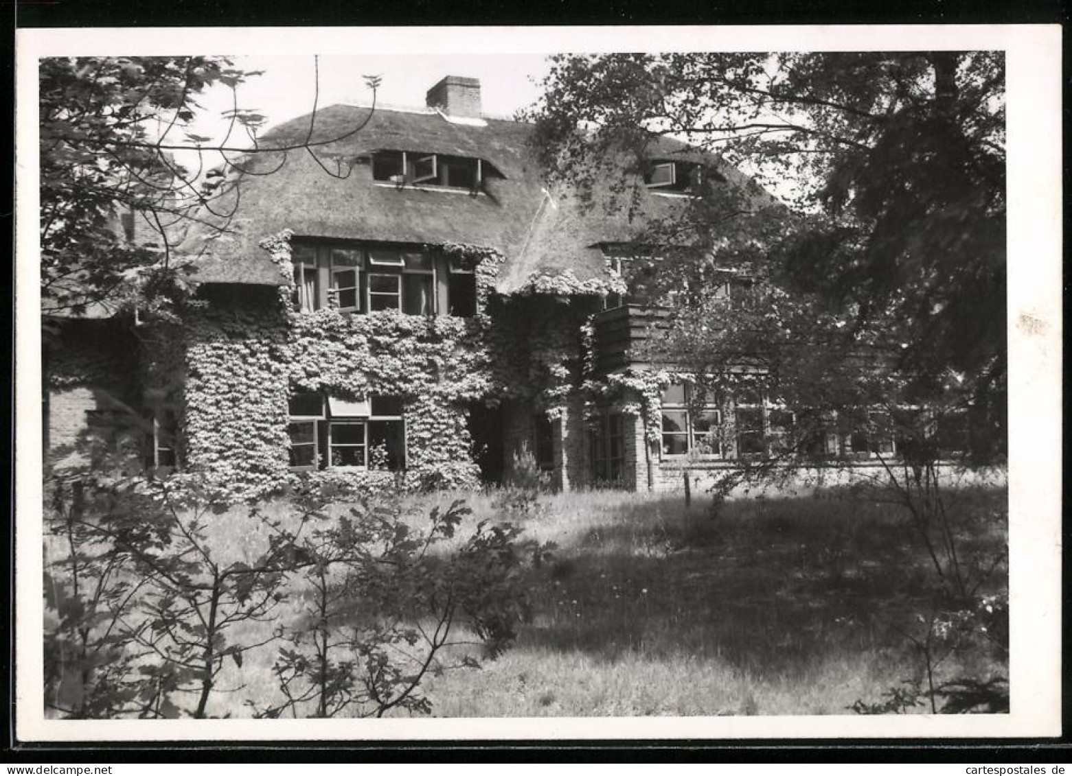 Fotografie Jos. Nuss, Eemnes, Ansicht Ede / Gelderland, Villa Mit Wildem Wein Bewachsen  - Orte