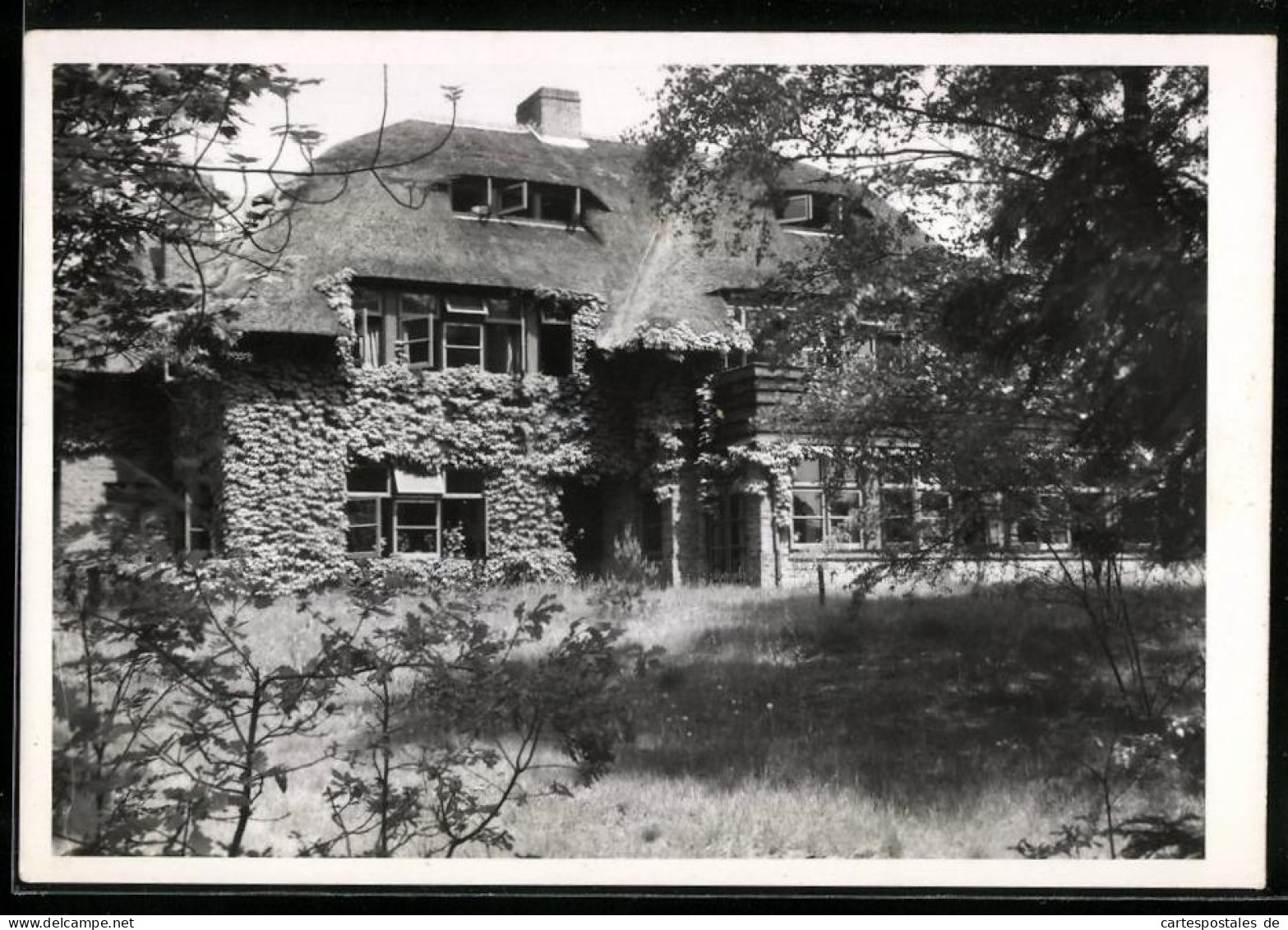 Fotografie Jos. Nuss, Eemnes, Ansicht Ede / Gelderland, Villa Mit Reetdach, Wilder Wein Wächst An Der Fassade  - Places