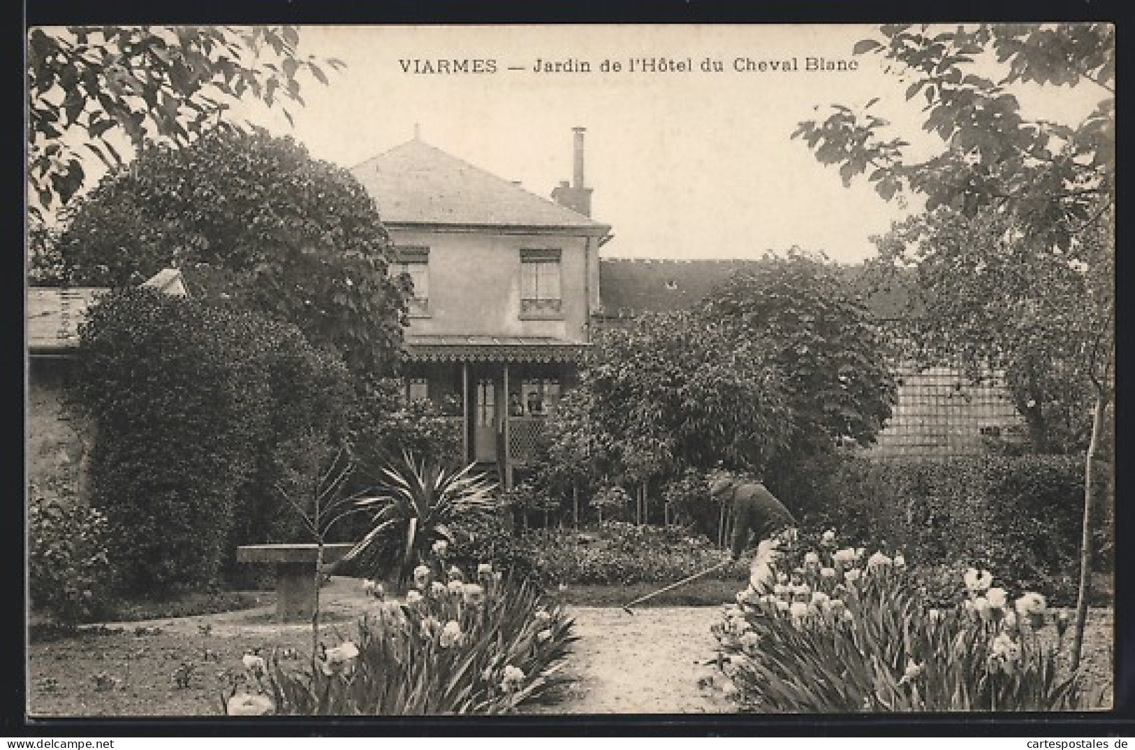 CPA Viarmes, Jardin De L`Hôtel Du Cheval Blanc  - Viarmes
