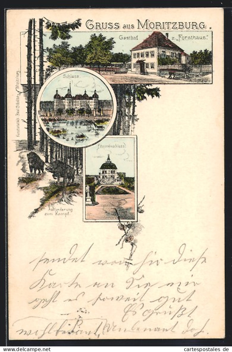 Lithographie Moritzburg, Schloss, Fasanenschloss, Wildschweine-Aufforderung Zum Kampf  - Moritzburg