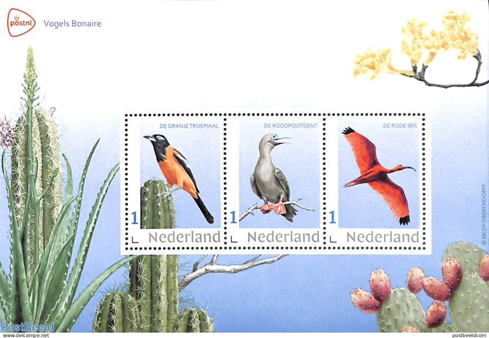 Netherlands - Personal Stamps TNT/PNL 2024 Birds Of Bonaire 3v M/s, Mint NH, Nature - Birds - Autres & Non Classés