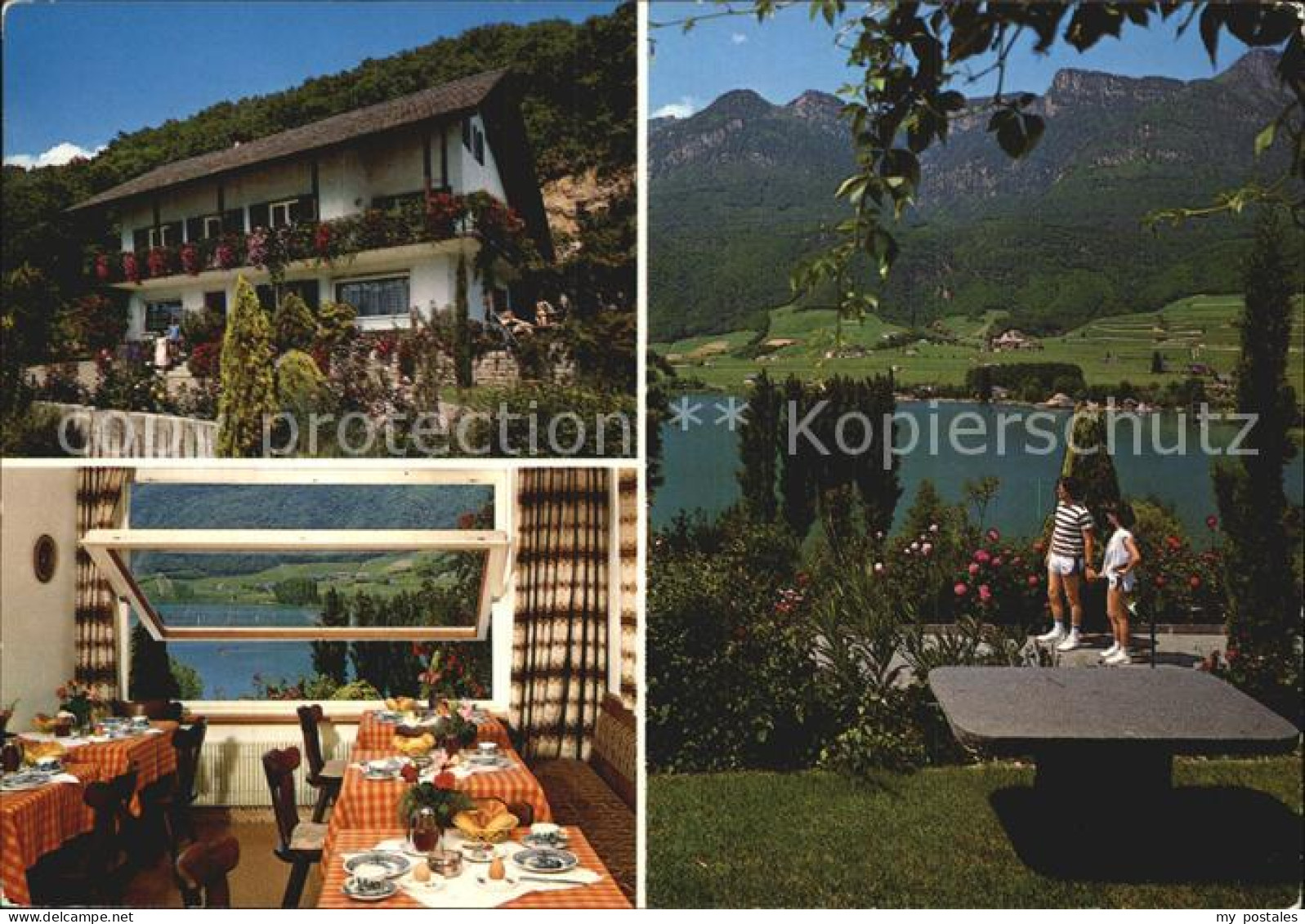 72549619 Kaltern Weinstrasse Tirol Pension Pius Abetone - Autres & Non Classés