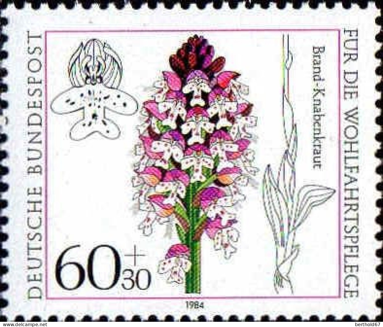 RFA Poste N** Yv:1059 Mi:1226 Wohlfahrtspflege Orchis Ustulata - Unused Stamps