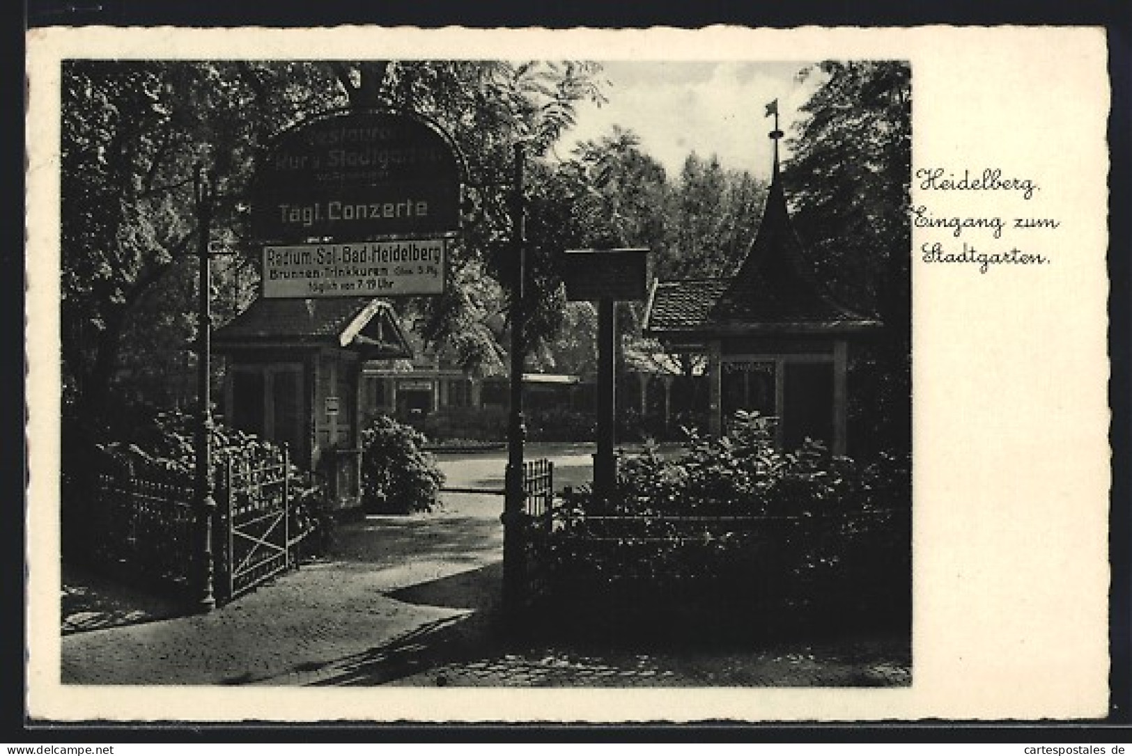 AK Heidelberg, Eingang Zum Stadtgarten / Restaurant Kur- Und Stadtgarten  - Heidelberg