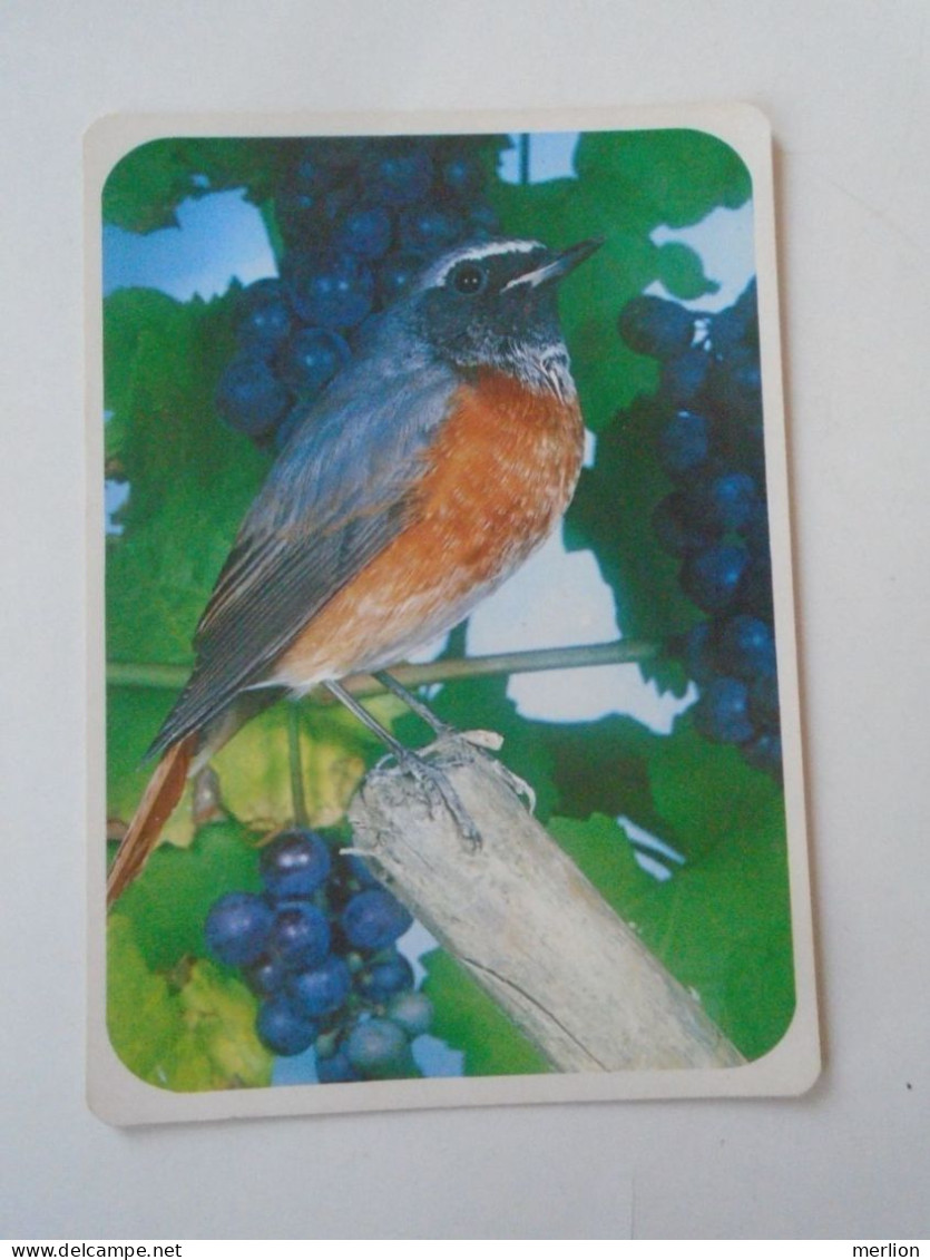 D203125  Bird  Postcard Oiseau Vogel - Oiseaux