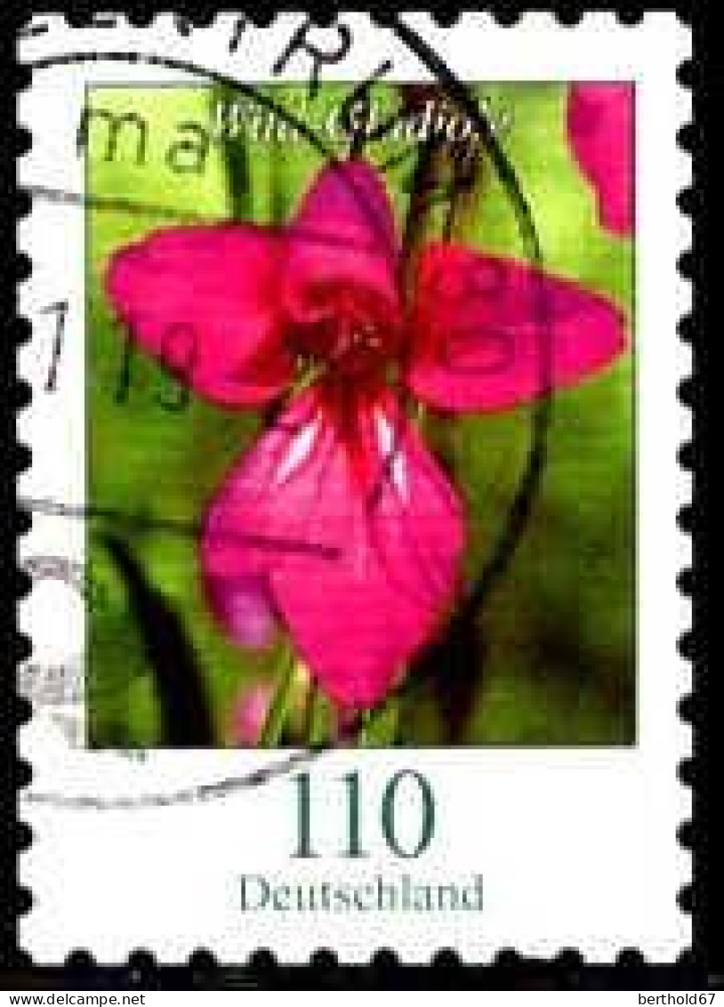 RFA Poste Obl Yv:3267 Mi:3489 Wild-Gladiole (TB Cachet Rond) - Used Stamps