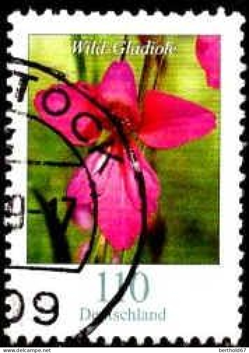 RFA Poste Obl Yv:3249 Mi:3471 Wild-Gladiole (TB Cachet Rond) - Used Stamps