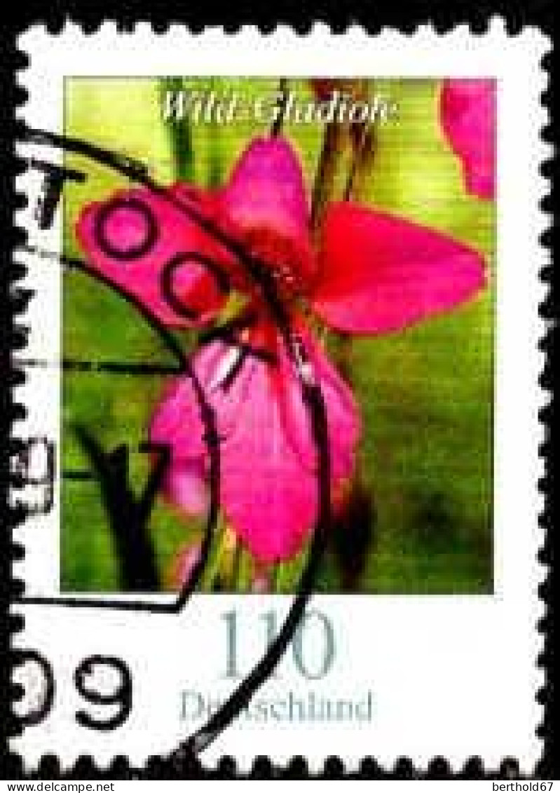 RFA Poste Obl Yv:3249 Mi:3471 Wild-Gladiole (TB Cachet Rond) - Usados