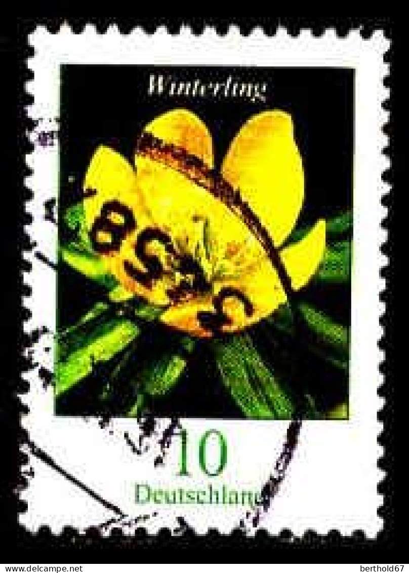 RFA Poste Obl Yv:3099 Mi:3314 Winterling (Beau Cachet Rond) - Used Stamps