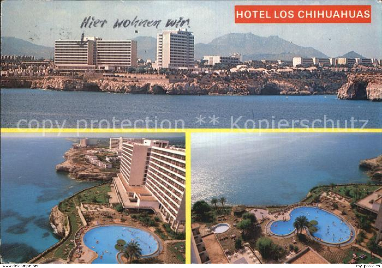 72548832 Calas De Mallorca Hotel Los Chihuahuas Mallorca - Sonstige & Ohne Zuordnung
