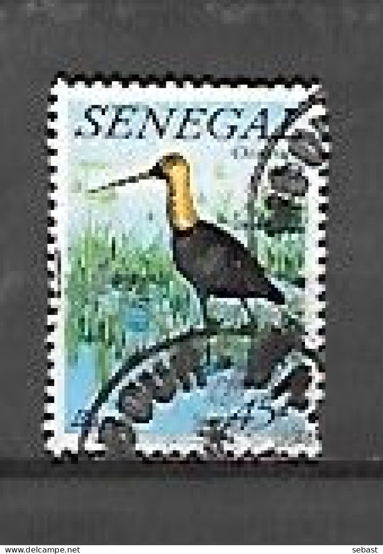 TIMBRE OBLITERE DU SENEGAL DE 1982 N° MICHEL 777 - Sénégal (1960-...)