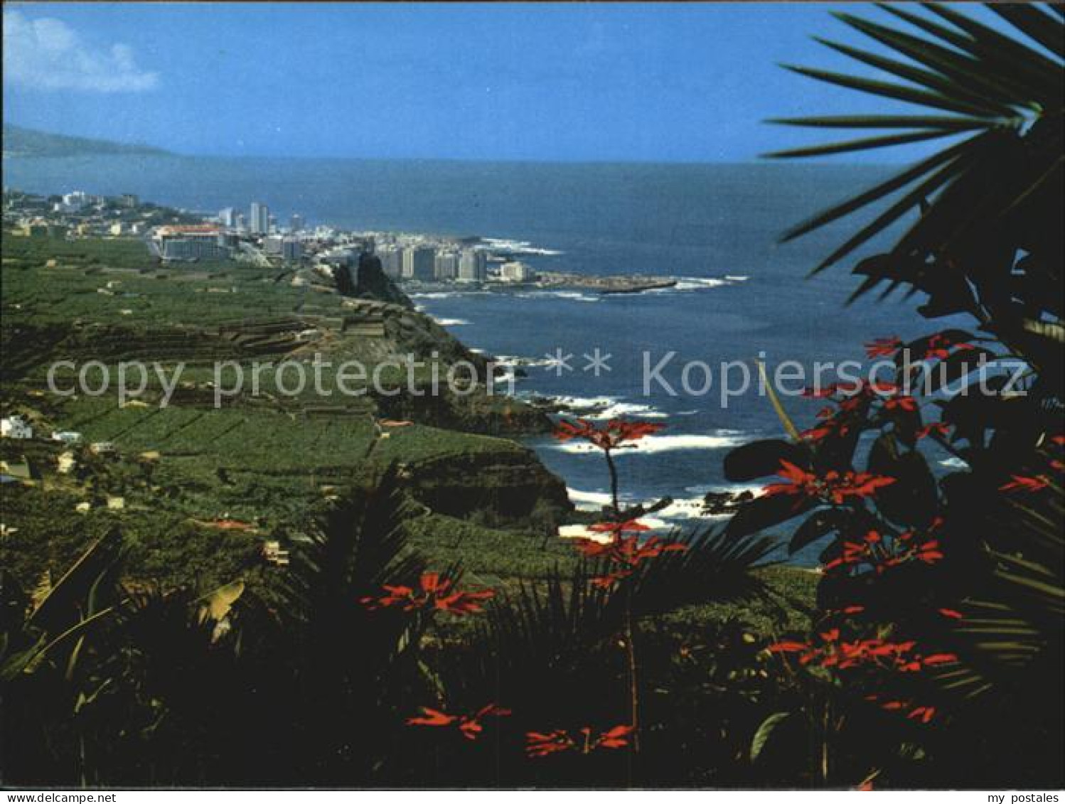 72548434 Tenerife Kuestenpanorama Islas Canarias Spanien - Autres & Non Classés