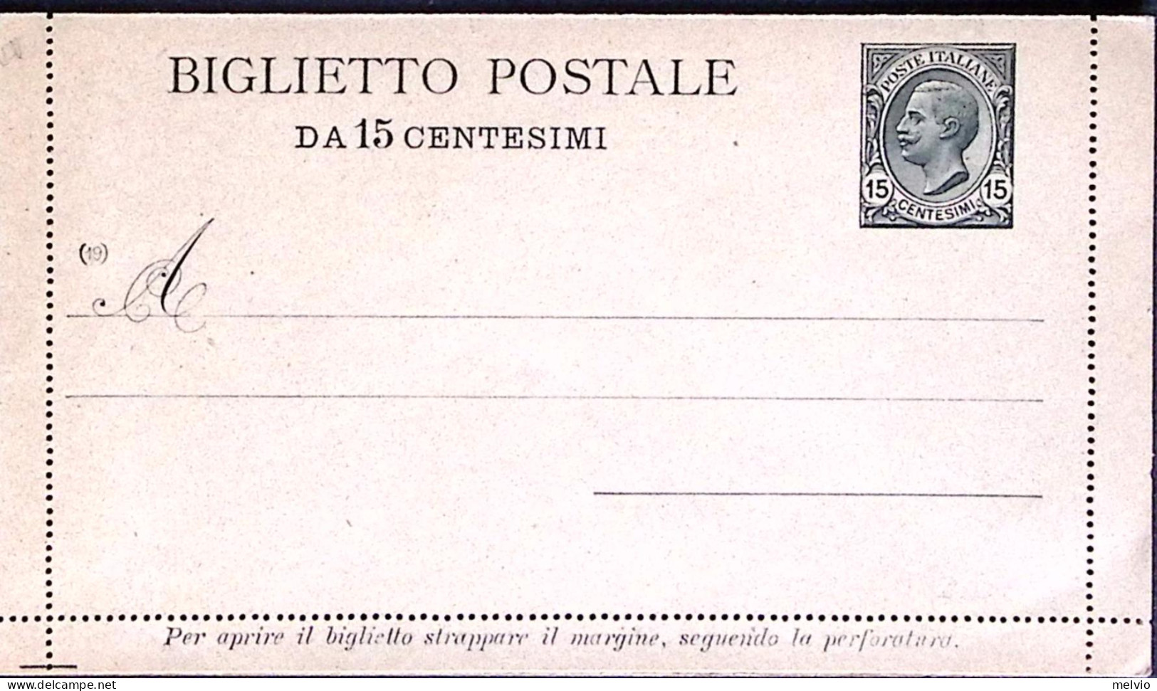 1919-BIGLIETTO POSTALE Leoni C.15 Mill.(19) Cartoncino Grigio Verde Nuovo - Stamped Stationery