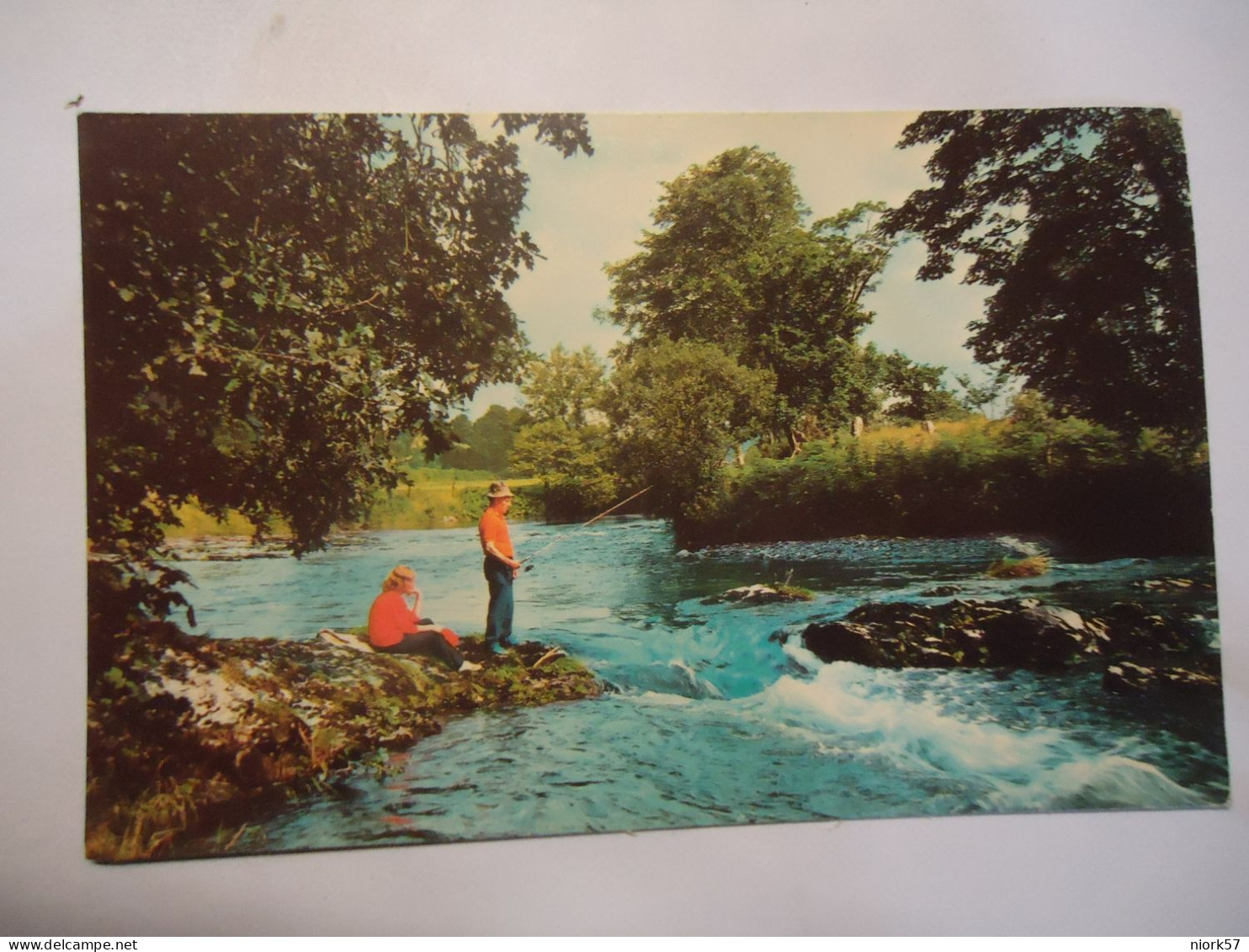 UNITED KINGDOM   POSTCARDS  FISHING THE RIVER DART - Other & Unclassified
