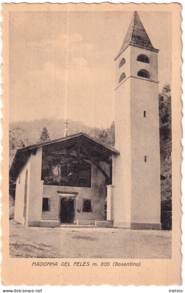 1956-BOSENTINO Madonna Del Peles Viaggiata - Trento
