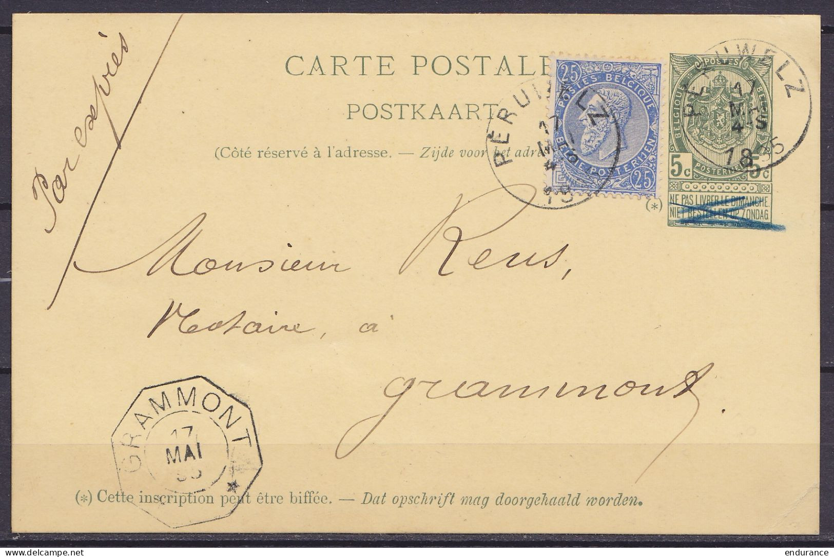 EP CP 5c (N°56) + N°60 Càd PERUWELZ /17 MAI 1895 En EXPRES Pour GRAMMONT - Càd Arrivée Octogon. GRAMMONT /17 MAI 95 - Cartes Postales 1871-1909