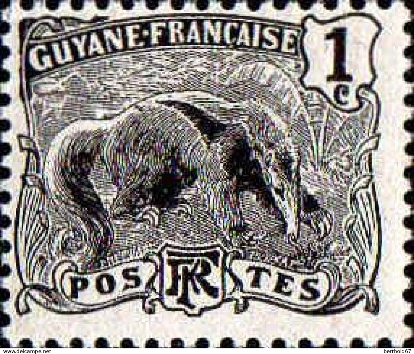 Guyane Poste N** Yv: 49 Mi:49 Fourmilier - Unused Stamps