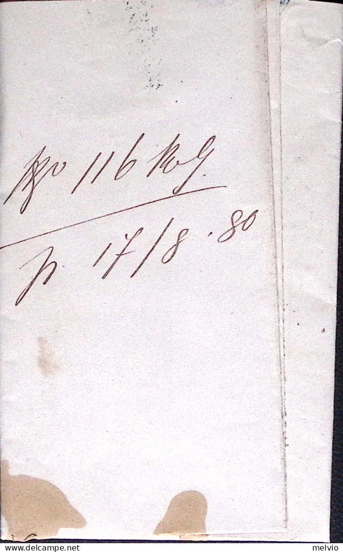 1880-FR.LLI SERVIZIO Sopr C.2/5,00 Su PIEGO Bottrighe (12.8) - Marcophilia