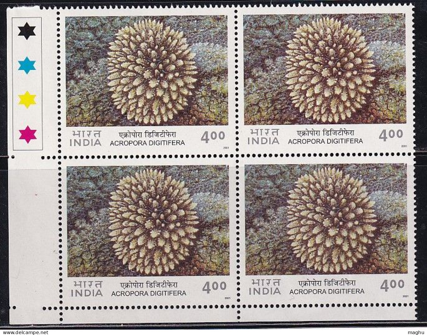 T/L Block Of 4, Digitate Coral, Corals Of India Series 2001 MNH, Animalia, - Blokken & Velletjes