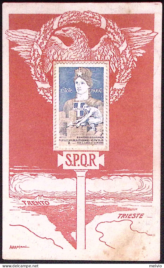 1918-cartolina SPQR Trento Trieste Con Erinnofilo Del Comitato Bolognese Di Prep - Cinderellas