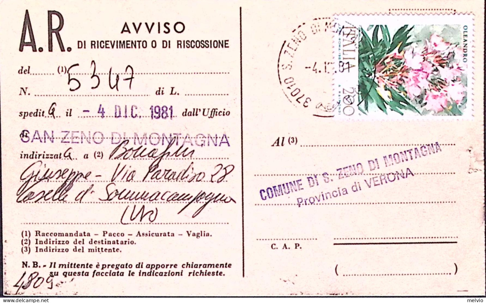 1981-FLORA Lire 200, Oleandro, Isolato Su Avviso Ricevimento - 1981-90: Marcophilie