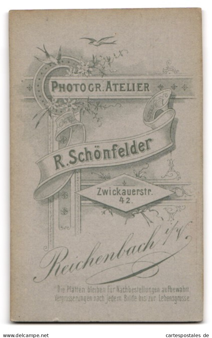 Fotografie R. Schönfelder, Reichenbach I. V., Zwickauerstr. 42, Kleines Mädchen Im Weissen Kleid  - Personas Anónimos
