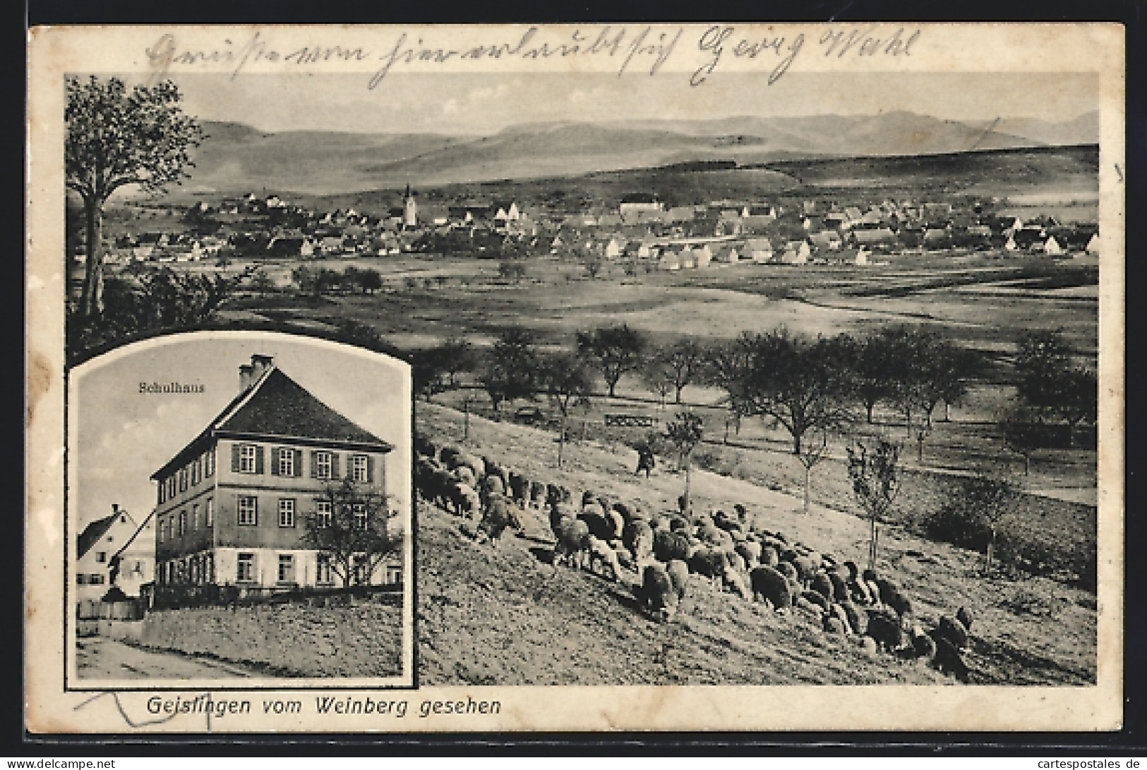 AK Geislingen, Teilansicht Mit Schafherde Vom Weinberg Aus Gesehen, Schulhaus  - Geislingen