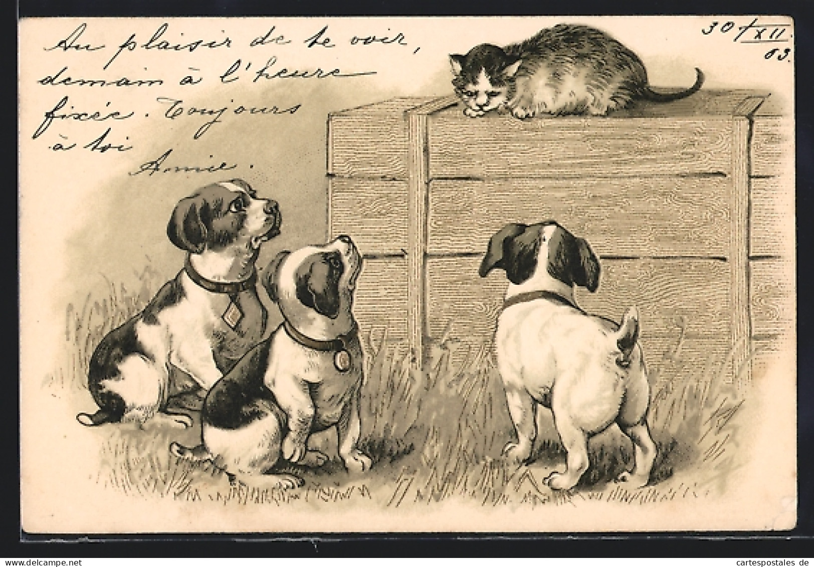 Lithographie Drei Hundewelpen Beäugen Eine Katze  - Chiens