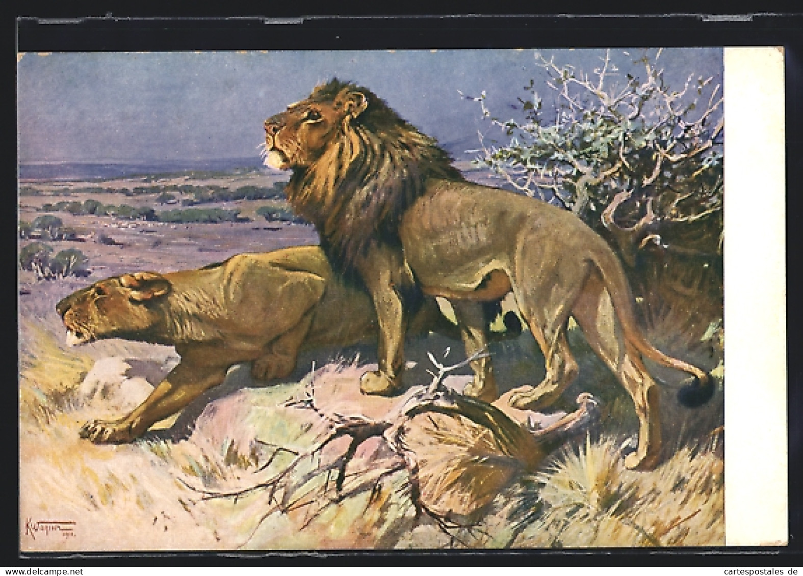Künstler-AK Löwen Pirschen Sich Im Schutz Von Büschen An Ihre Beute Heran  - Tigers