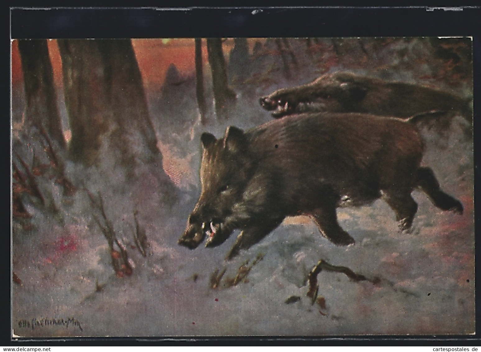 Künstler-AK Wildschweine Im Wald, Schneepartie  - Pigs