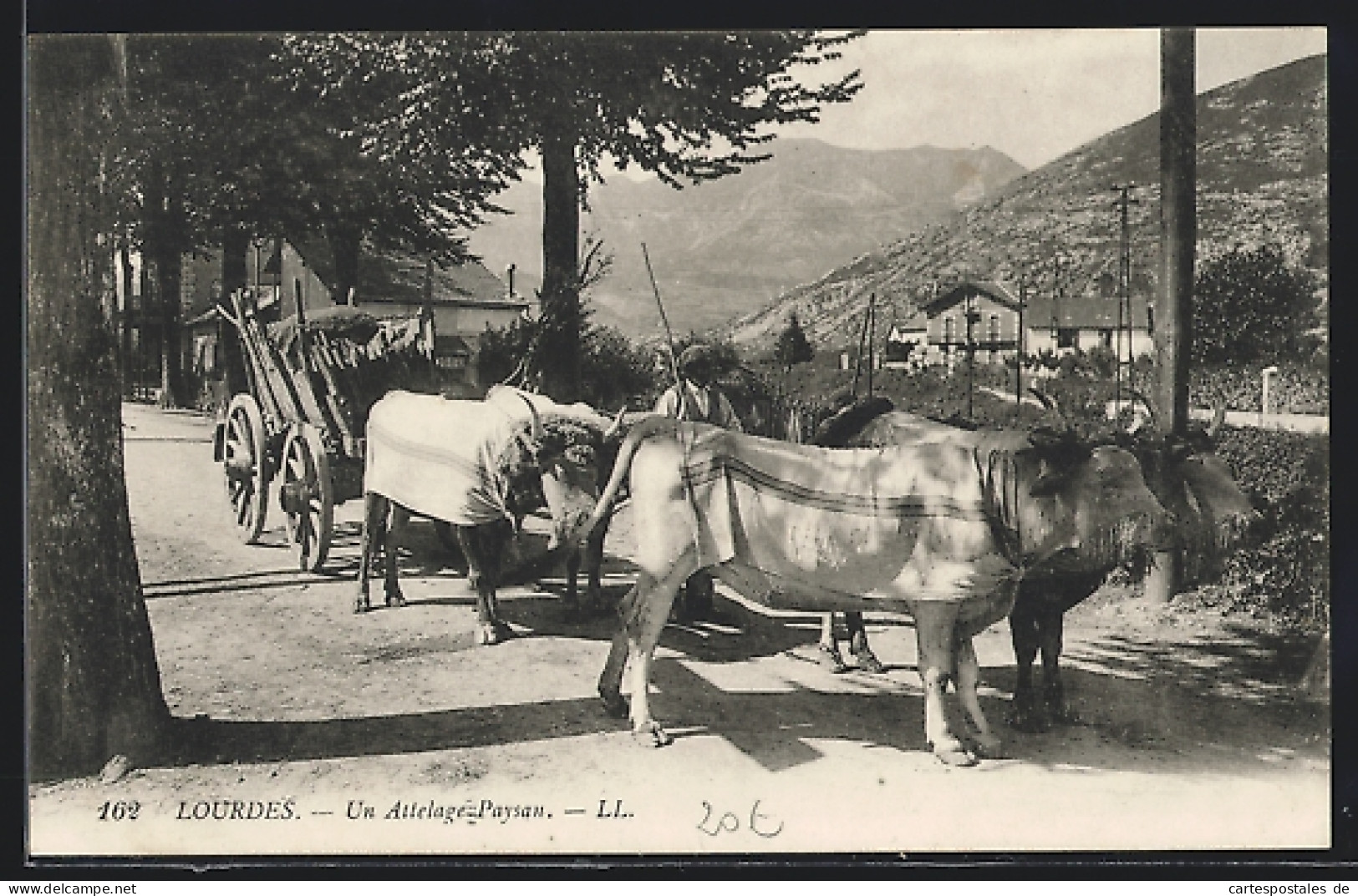 AK Lourdes, Landwirt Mit Seinem Ochsen-Gespann, Un Attelage Paysan  - Koeien