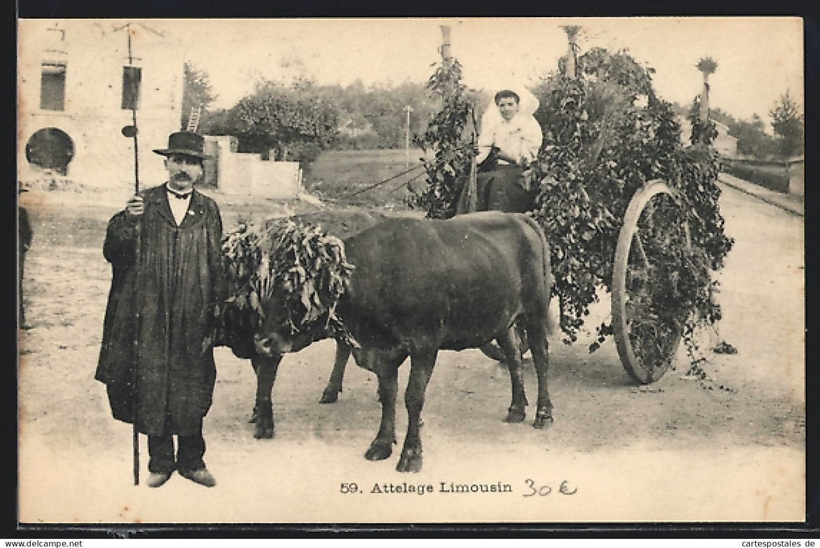 AK Attelgae Limousin, Mann Mit Einem Ochsengespann  - Cows