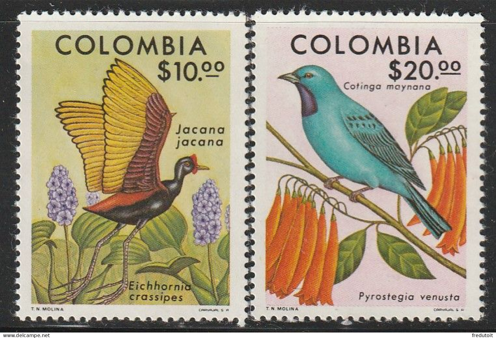 COLOMBIE - N°709/10 ** (1977) Oiseaux - Colombie