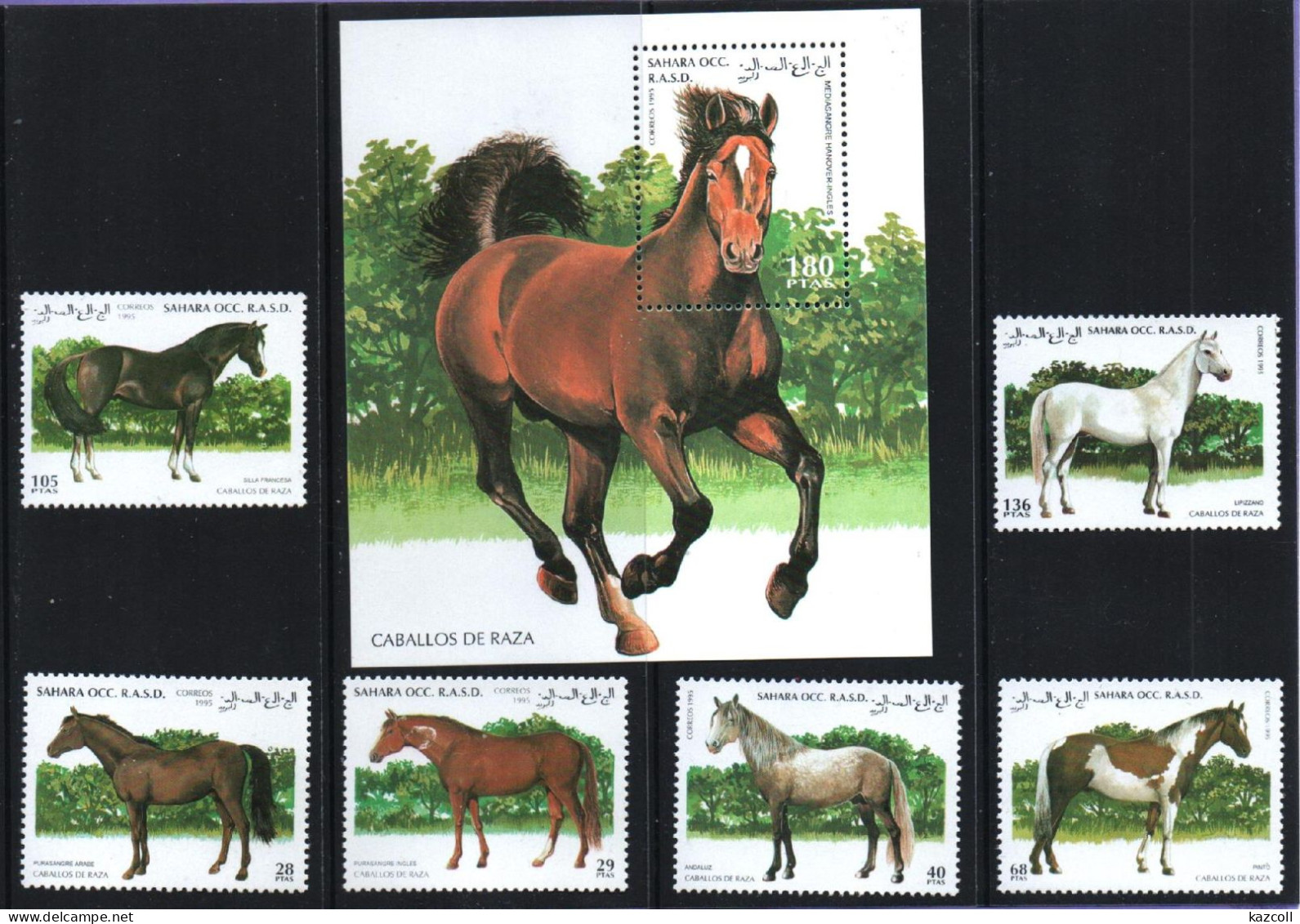 Sahara Occ R.a.s.d. 1995. Fauna. Caballos. Horses  MNH - Africa (Other)