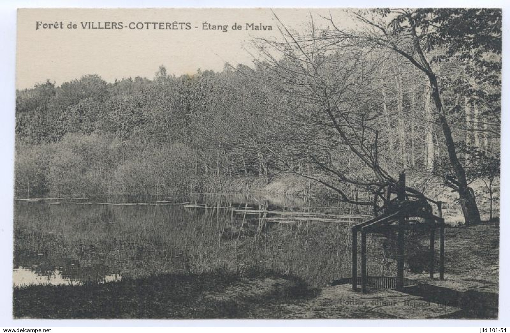 Villers-Cotterêts, étang De Malva (lt 10) - Villers Cotterets