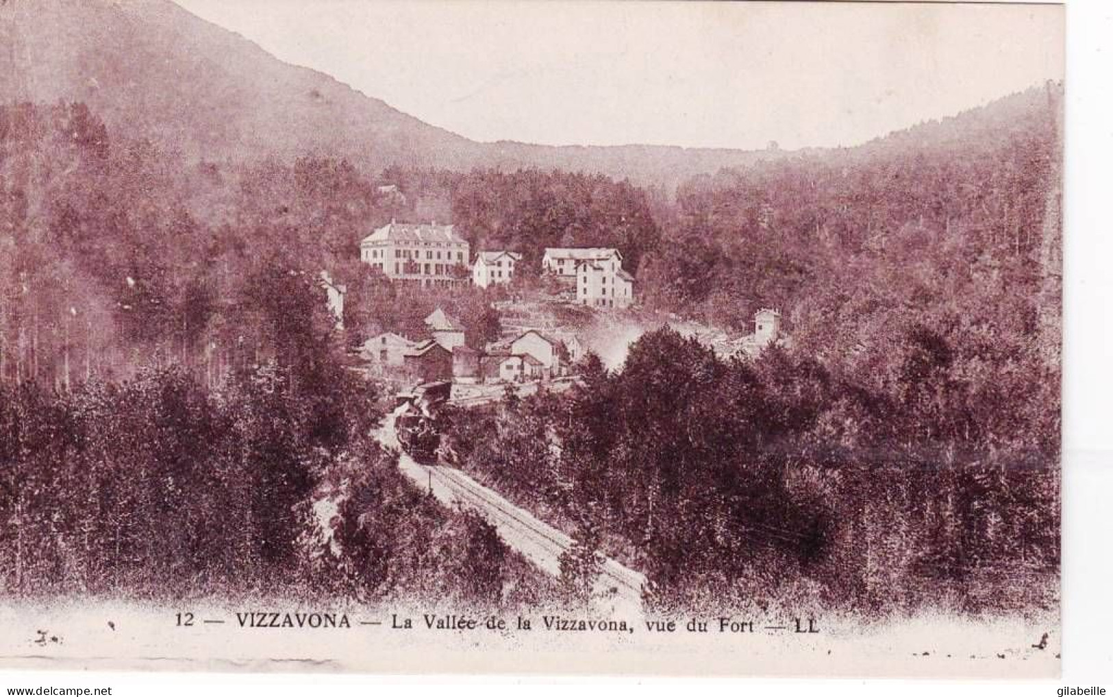 20 - Corse -  VIZZANOVA ( Vivario ) - La Vallée De La Vizzanova Vue Du Fort - Autres & Non Classés