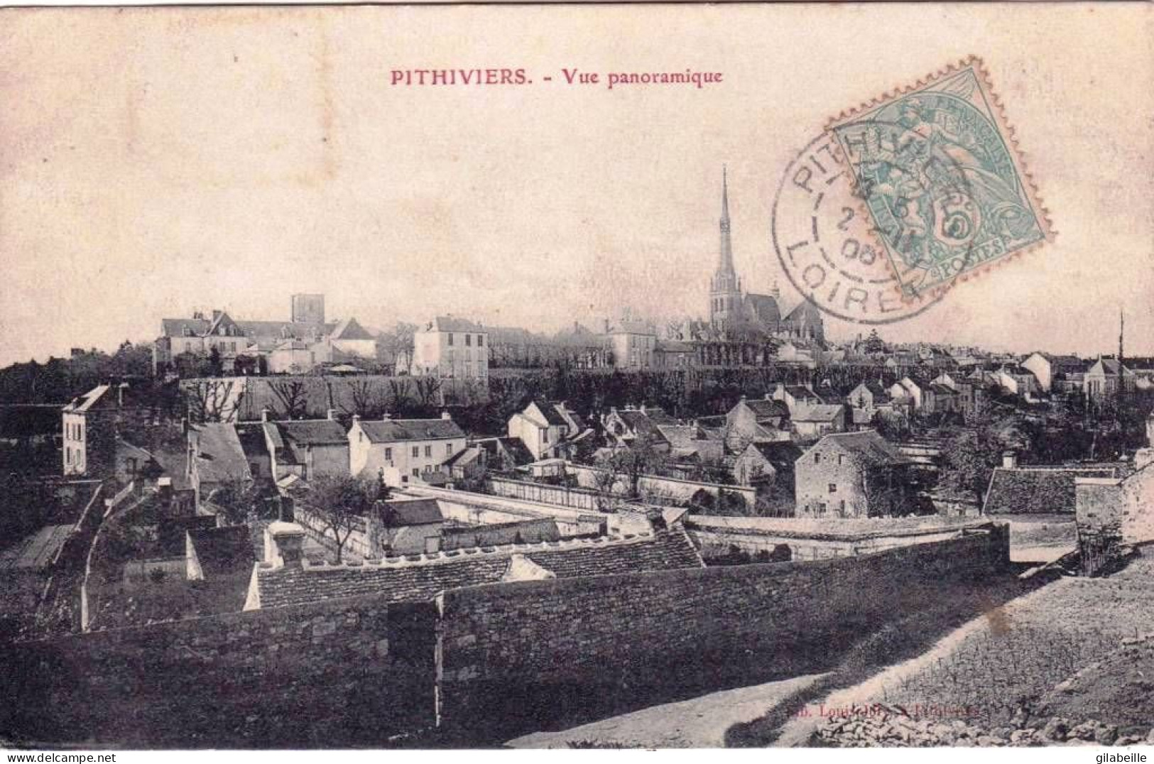 45 - Loiret - PITHIVIERS -  Vue Panoramique - Pithiviers