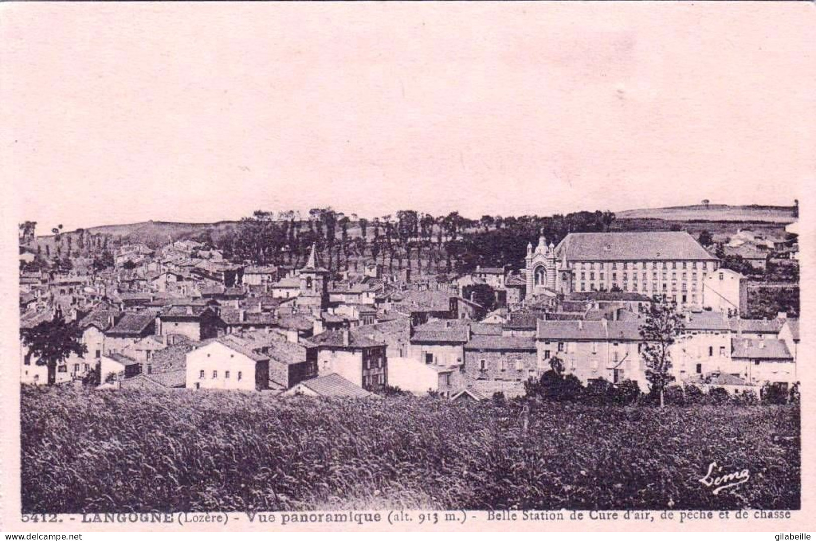 48 - Lozere -   LANGOGNE -  Vue Panoramique - Langogne