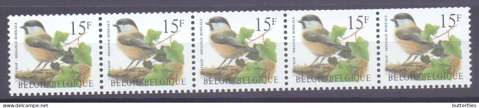 Belgie -1997 - OBP -** 2695 - Matkop - Rolzegel - Strook Nr 00170 - Kopstaand  - Vogels A. Buzin ** - 1985-.. Birds (Buzin)