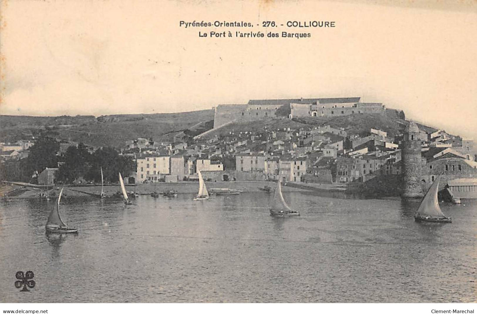 COLLIOURE - Le Port à L'arrivée Des Barques - Très Bon état - Collioure