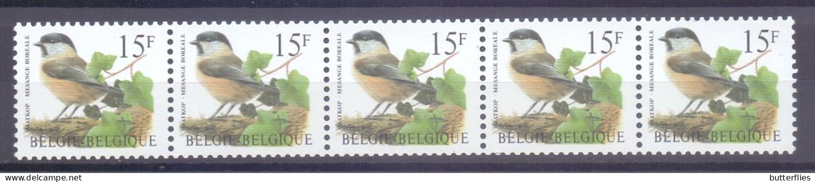 Belgie -1997 - OBP -** 2695 - Matkop - Rolzegel - Strook Nr 05065 - Kopstaand  - Vogels A. Buzin ** - 1985-.. Oiseaux (Buzin)