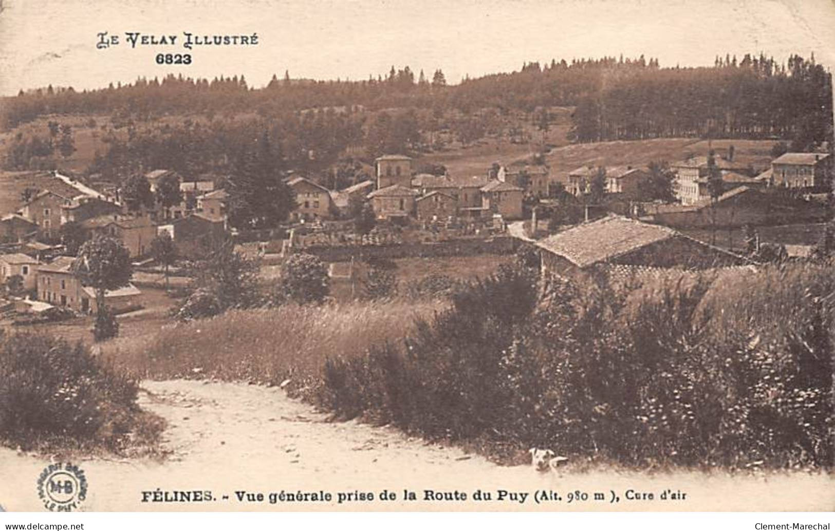 FELINES - Vue Générale Prise De La Route Du Puy - état - Autres & Non Classés