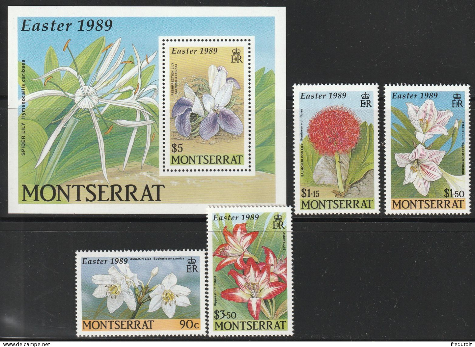 MONTSERRAT - N°705/8+BLOC N°49 ** (1989) Fleurs - Montserrat