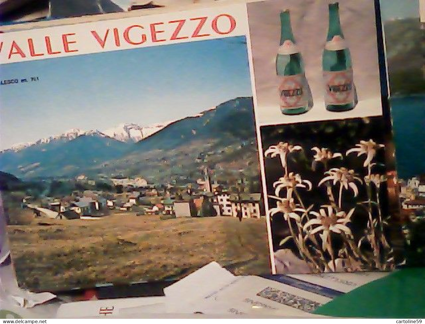 VALLE VIGEZZO MALESCO E ACQUA BOTTIGLIA  STELLE ALPINE N1980 JV6565 - Verbania