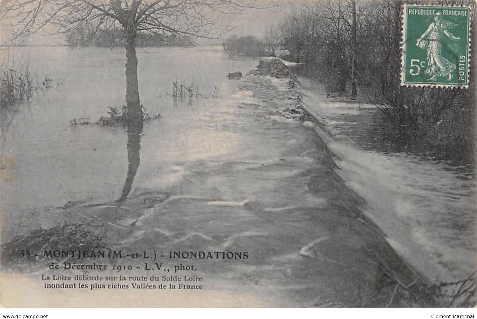 MONTJEAN - Inondations De 1910 - La Loire Déborde Sur La Route Du Solde Loire - Très Bon état - Autres & Non Classés