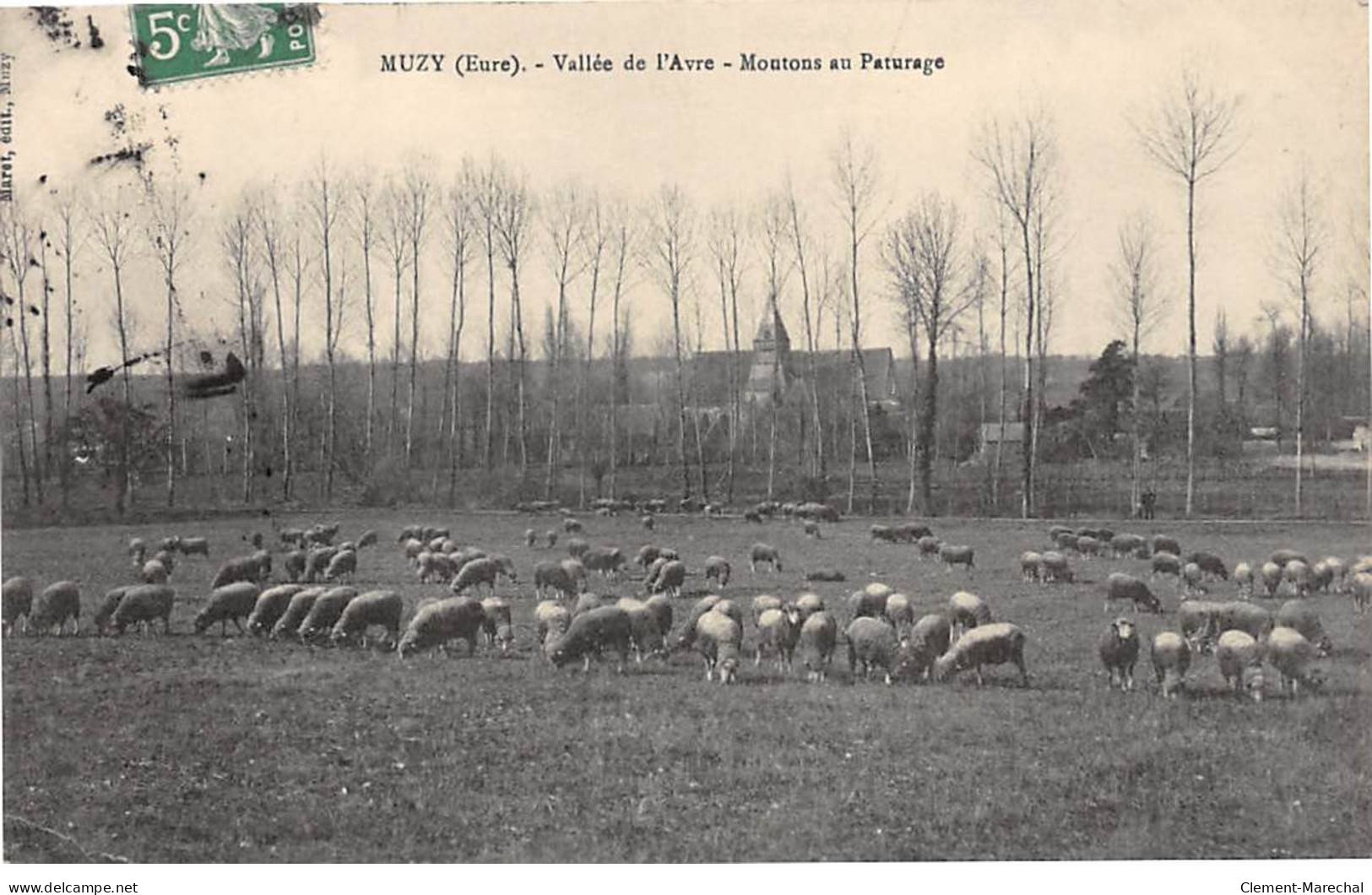 MUZY - Vallée De L'Avre - Moutons Au Paturage - état - Autres & Non Classés