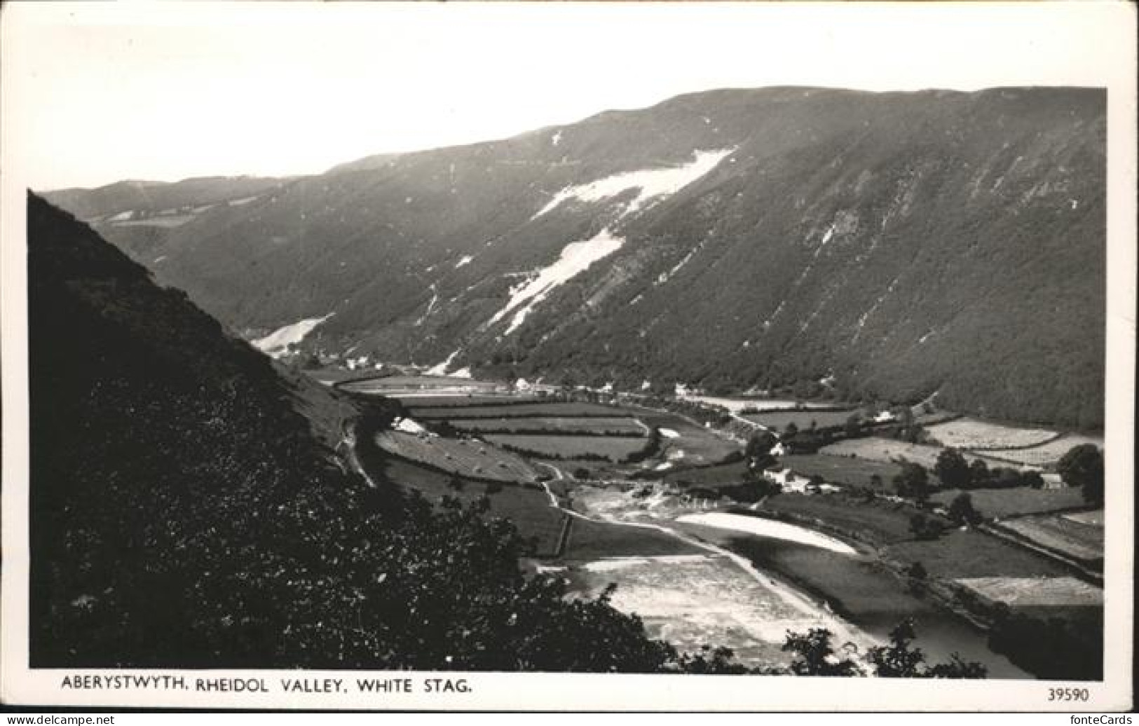 11111373 Aberystwyth Rheidol Valley White Stag Ceredigion - Autres & Non Classés