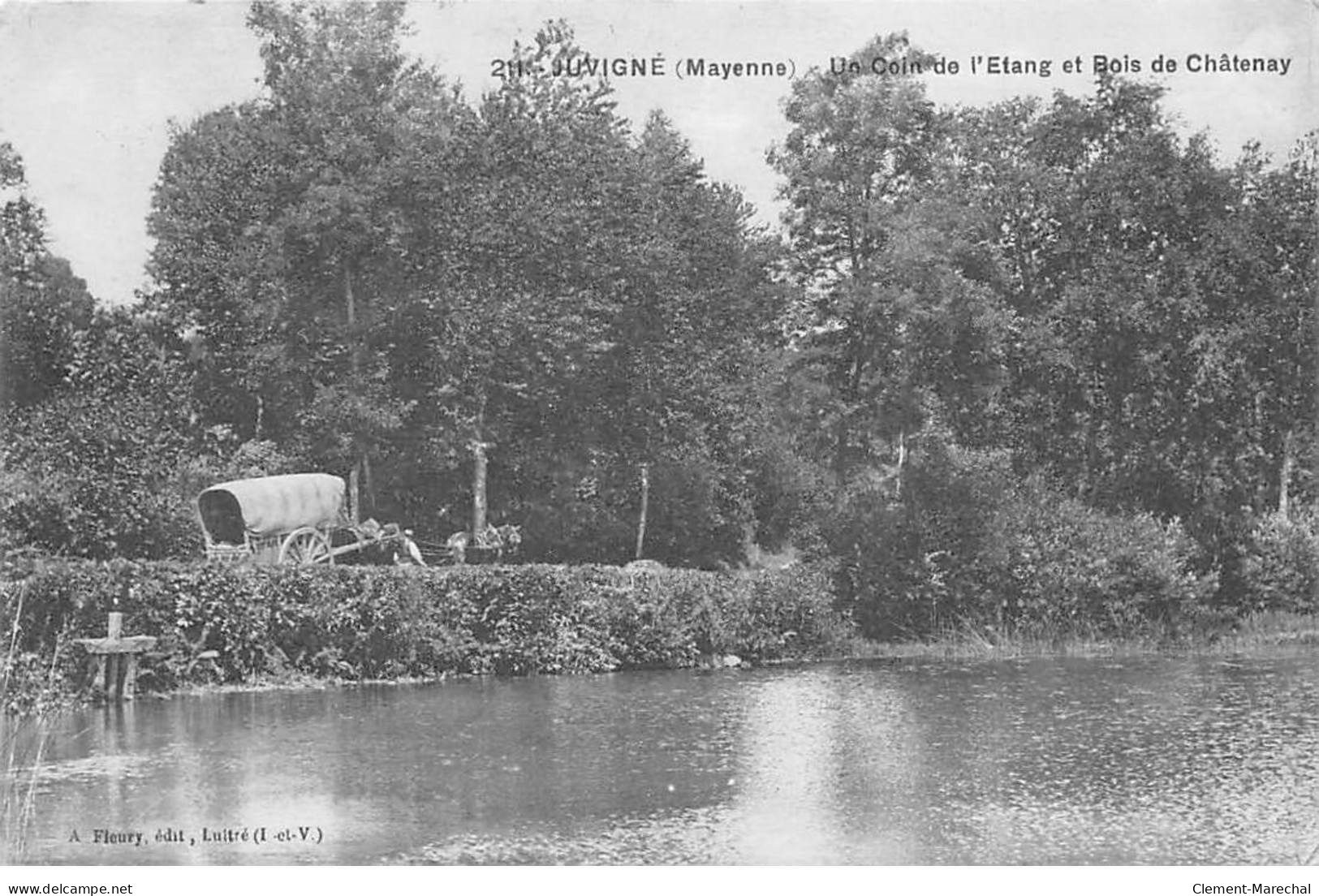 JUVIGNE - Un Coin De L'Etang Et Bois De Châtenay - Très Bon état - Other & Unclassified