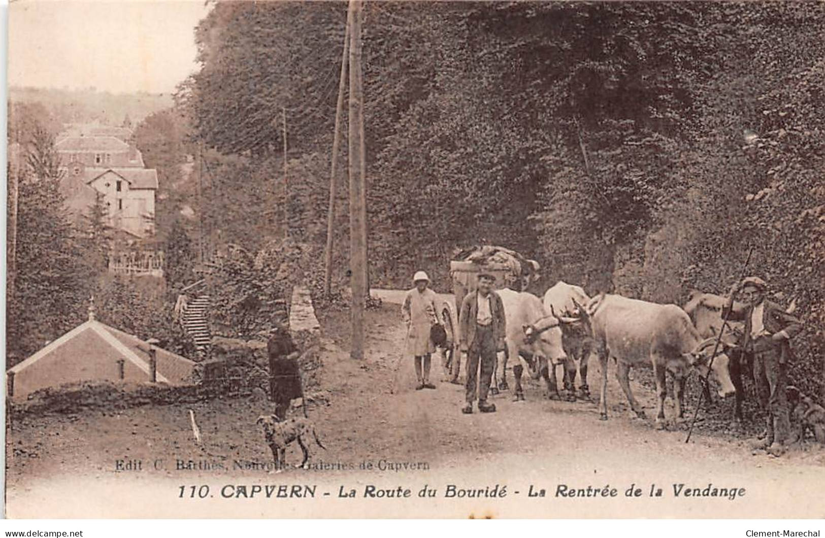 CAPVERN - La Route Du Bouridé - La Rentrée De La Vendange - Très Bon état - Autres & Non Classés