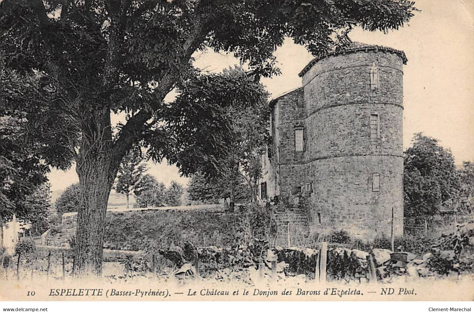 ESPELETTE - Le Château Et Le Donjon Des Barons D'Ezpeleta - état - Espelette